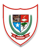 Logo Bom Jesus das Selvas - MA
